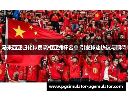 马来西亚归化球员亮相亚洲杯名单 引发球迷热议与期待