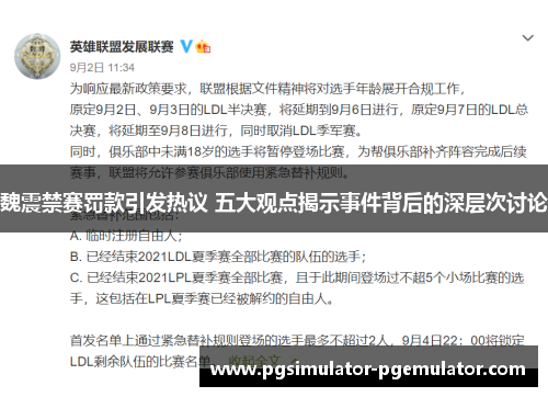 魏震禁赛罚款引发热议 五大观点揭示事件背后的深层次讨论