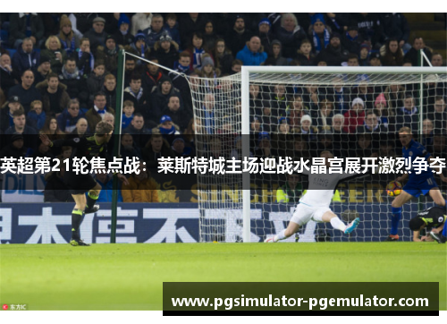 英超第21轮焦点战：莱斯特城主场迎战水晶宫展开激烈争夺
