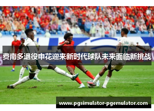 费南多退役申花迎来新时代球队未来面临新挑战 费南多退役申花迎来新时代球队未来面临新挑战