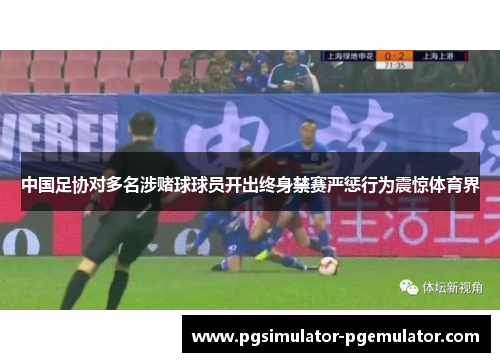 中国足协对多名涉赌球球员开出终身禁赛严惩行为震惊体育界