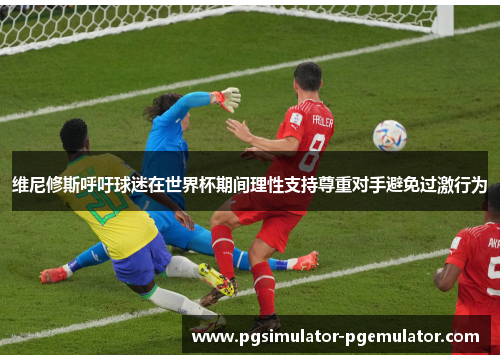 维尼修斯呼吁球迷在世界杯期间理性支持尊重对手避免过激行为