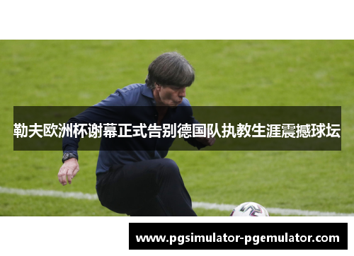 勒夫欧洲杯谢幕正式告别德国队执教生涯震撼球坛