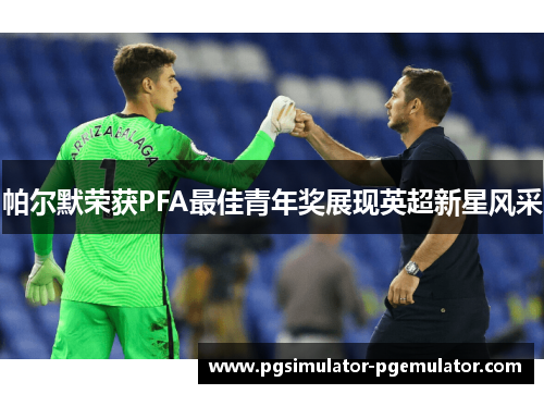 帕尔默荣获PFA最佳青年奖展现英超新星风采