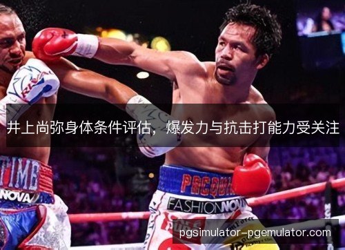 井上尚弥身体条件评估，爆发力与抗击打能力受关注